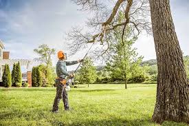 Soil Testing and Treatment in South Bradenton, FL